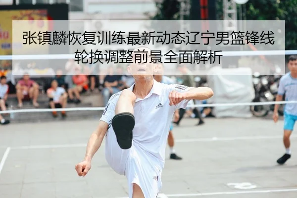 张镇麟恢复训练最新动态辽宁男篮锋线轮换调整前景全面解析